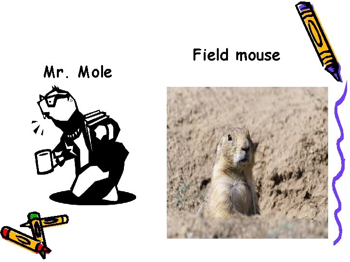 Mr. Mole Field mouse 