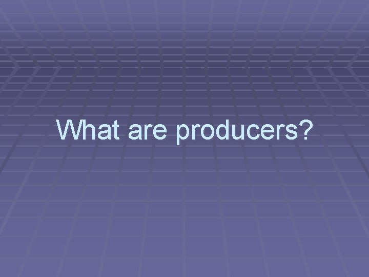 What are producers? 