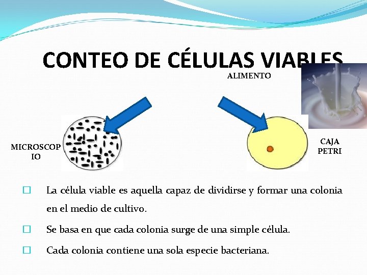 CONTEO DE CÉLULAS VIABLES ALIMENTO MICROSCOP IO � CAJA PETRI La célula viable es