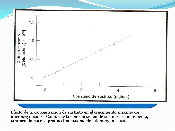 Efecto de la concentración de sustrato en el crecimiento máximo de microorganismos. Conforme la