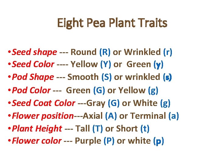 Eight Pea Plant Traits • Seed shape --- Round (R) or Wrinkled (r) •