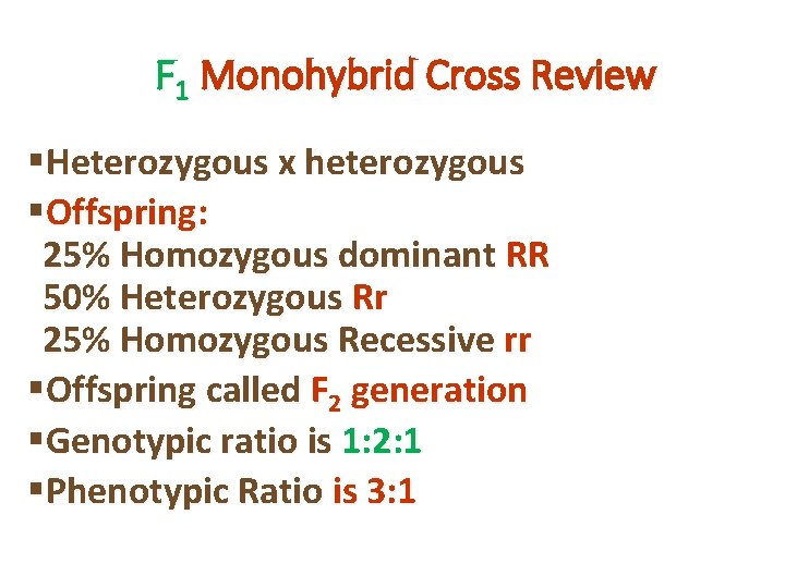 F 1 Monohybrid Cross Review §Heterozygous x heterozygous §Offspring: 25% Homozygous dominant RR 50%