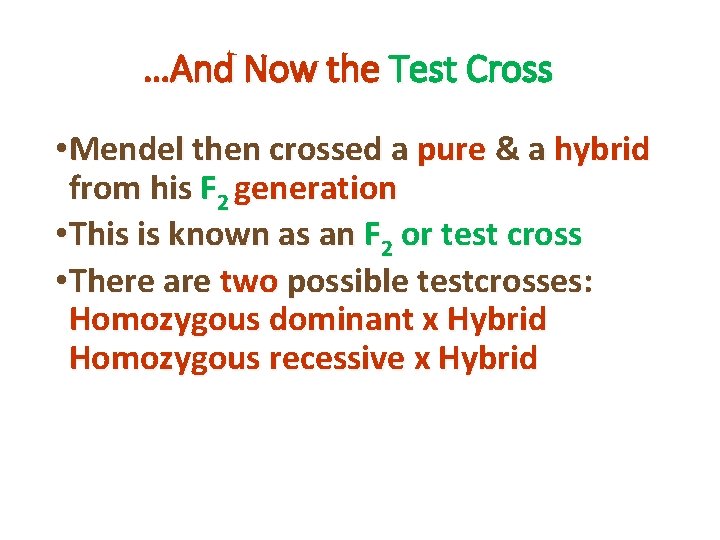 …And Now the Test Cross • Mendel then crossed a pure & a hybrid