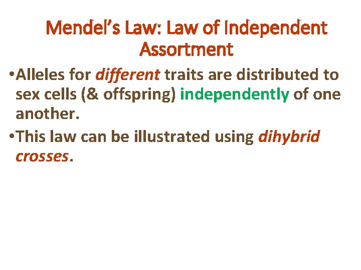 Mendel’s Law: Law of Independent Assortment • Alleles for different traits are distributed to