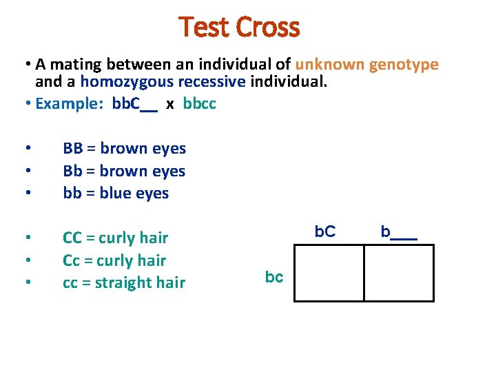 Test Cross • A mating between an individual of unknown genotype and a homozygous