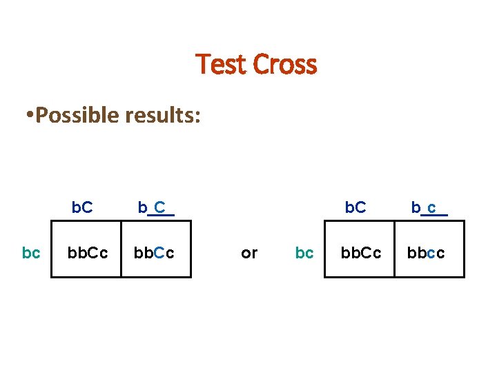 Test Cross • Possible results: bc b. C b___ C bb. Cc or Mag