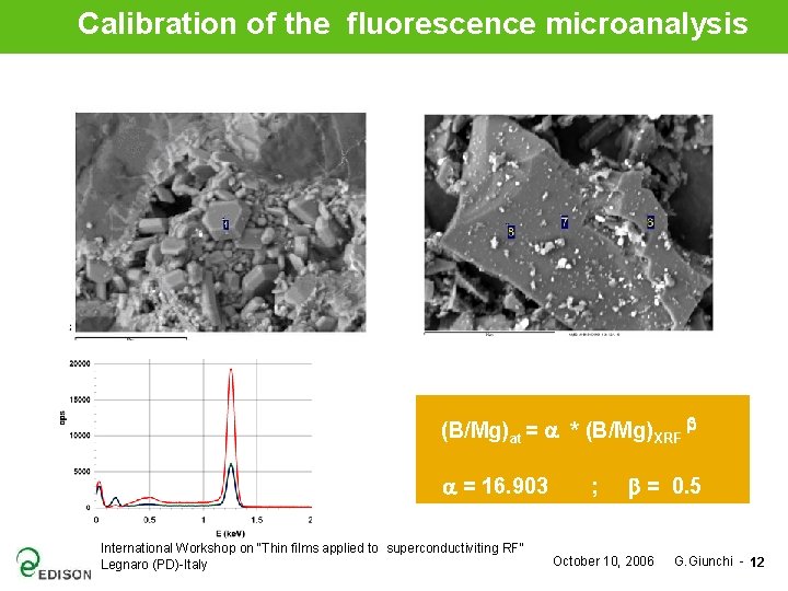 Calibration of the fluorescence microanalysis (B/Mg)at = a * (B/Mg)XRF b a = 16.