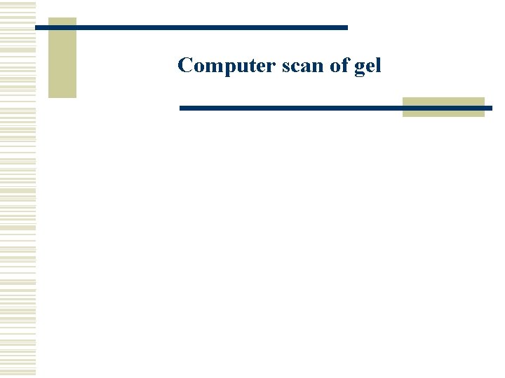 Computer scan of gel 