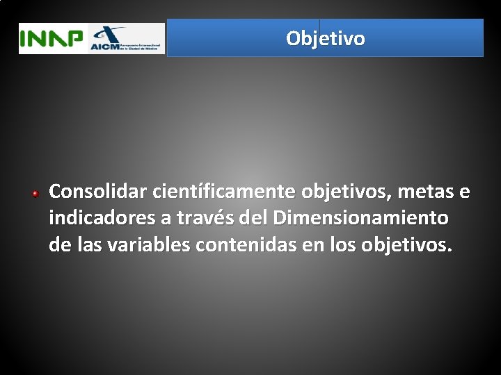 Objetivo Consolidar científicamente objetivos, metas e indicadores a través del Dimensionamiento de las variables