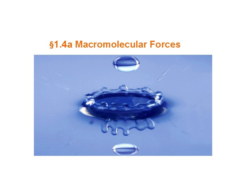 § 1. 4 a Macromolecular Forces 