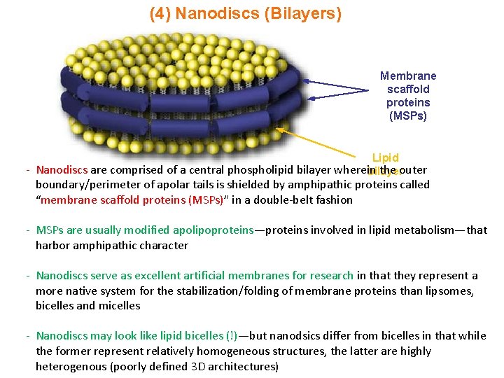 (4) Nanodiscs (Bilayers) Membrane scaffold proteins (MSPs) Lipid - Nanodiscs are comprised of a