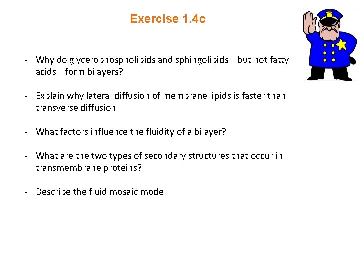 Exercise 1. 4 c - Why do glycerophospholipids and sphingolipids—but not fatty acids—form bilayers?