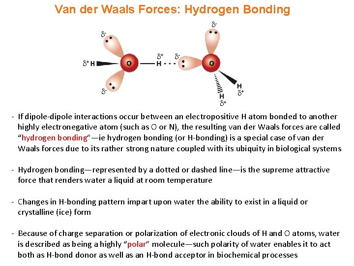 Van der Waals Forces: Hydrogen Bonding + + - - + + - If