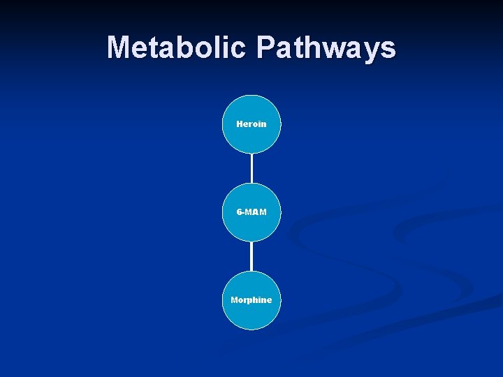 Metabolic Pathways Heroin 6 -MAM Morphine 