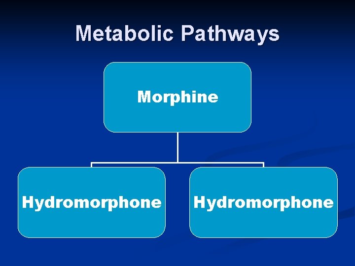 Metabolic Pathways Morphine Hydromorphone 