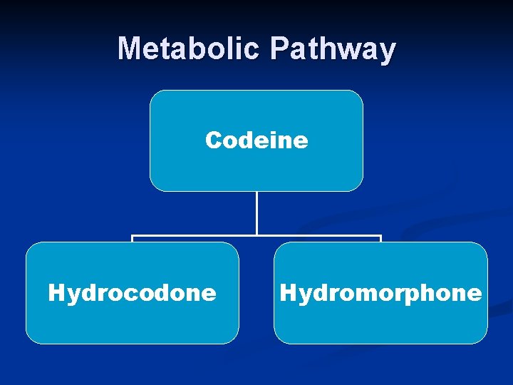 Metabolic Pathway Codeine Hydrocodone Hydromorphone 