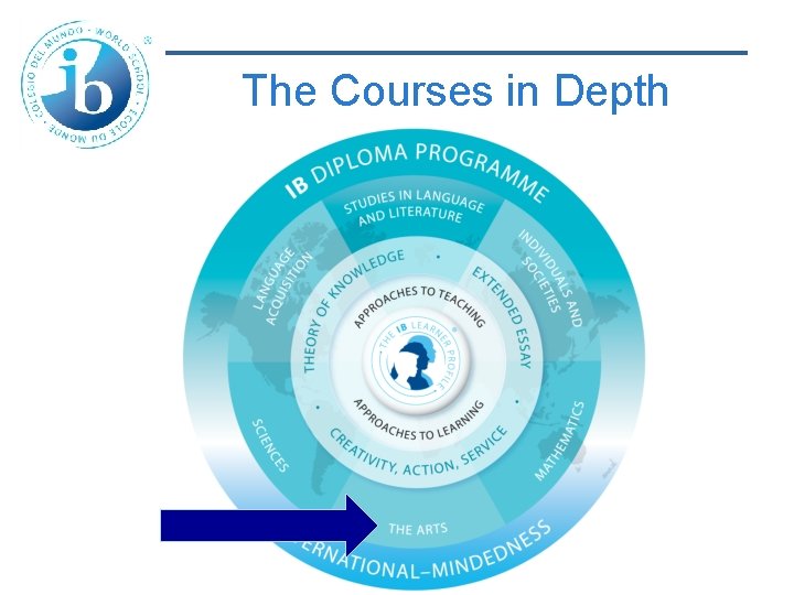 The Courses in Depth 
