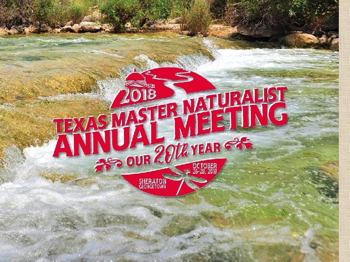 Learn more at: http: //txmn. org 