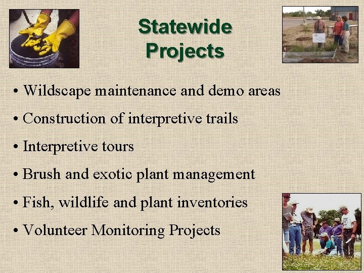 Statewide Projects • Wildscape maintenance and demo areas • Construction of interpretive trails •