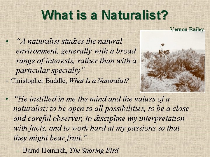 What is a Naturalist? Vernon Bailey • “A naturalist studies the natural environment, generally