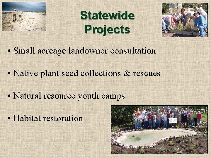 Statewide Projects • Small acreage landowner consultation • Native plant seed collections & rescues