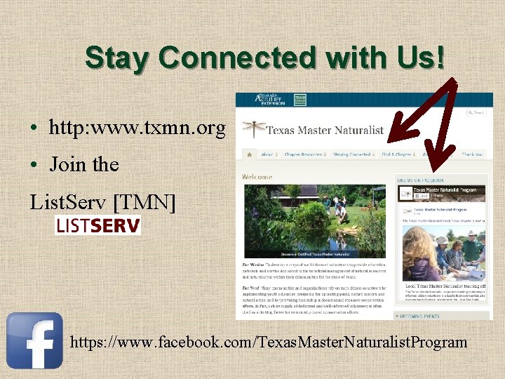 Stay Connected with Us! • http: www. txmn. org • Join the List. Serv