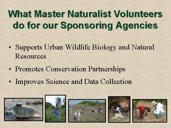 What Master Naturalist Volunteers do for our Sponsoring Agencies • Supports Urban Wildlife Biology