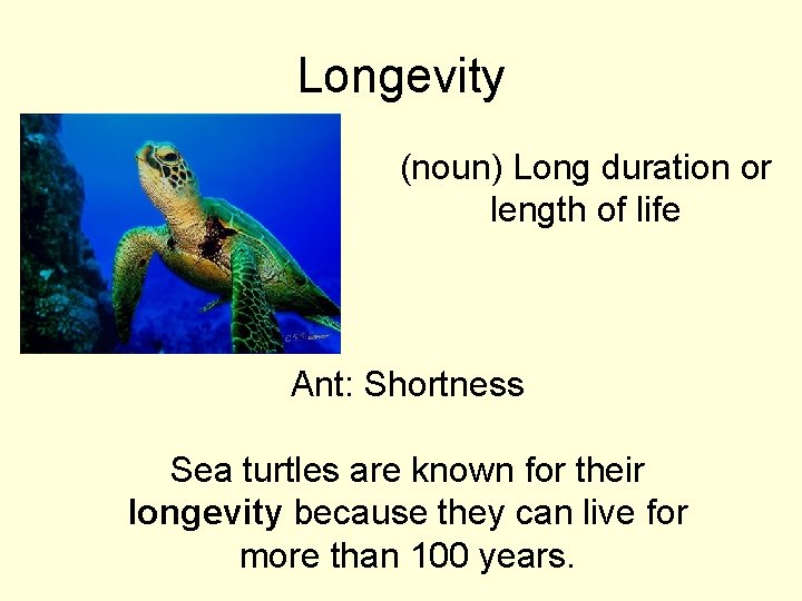 Longevity (noun) Long duration or length of life Ant: Shortness Sea turtles are known