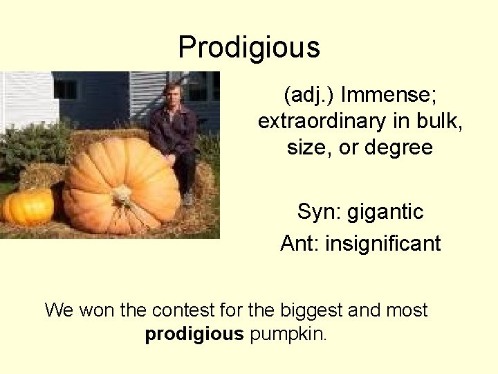 Prodigious (adj. ) Immense; extraordinary in bulk, size, or degree Syn: gigantic Ant: insignificant Prodigious (adj. ) Immense; extraordinary in bulk, size, or degree Syn: gigantic Ant: insignificant