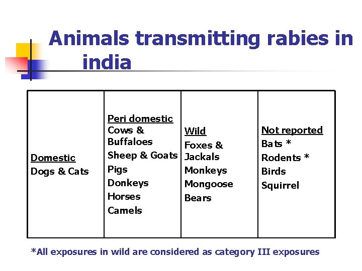 Animals transmitting rabies in india Domestic Dogs & Cats Peri domestic Cows & Buffaloes