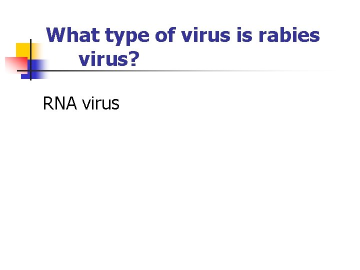 What type of virus is rabies virus? RNA virus 