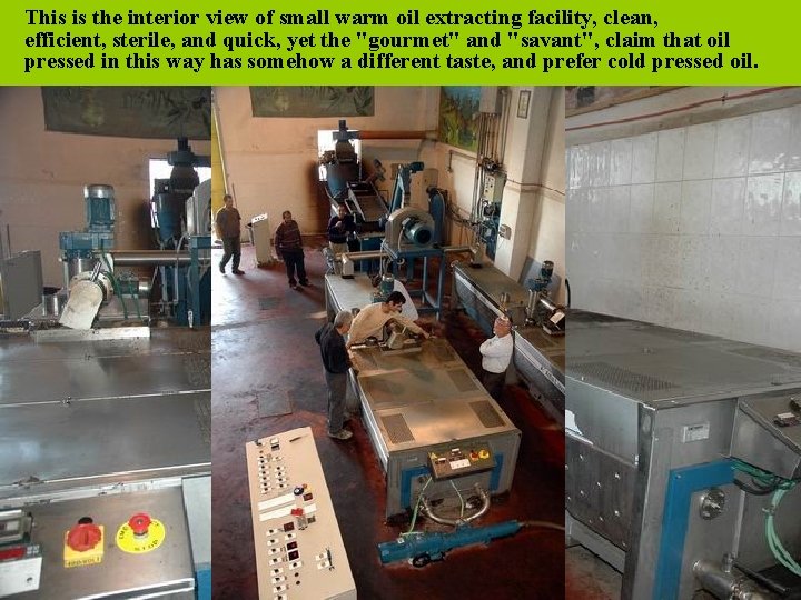 This is the interior view of small warm oil extracting facility, clean, efficient, sterile,