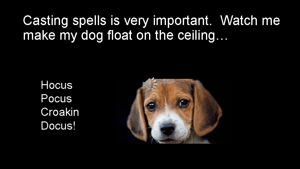 Casting spells is very important. Watch me make my dog float on the ceiling…