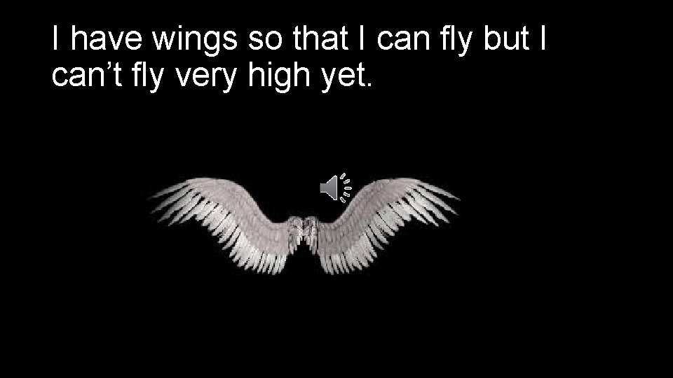 I have wings so that I can fly but I can’t fly very high