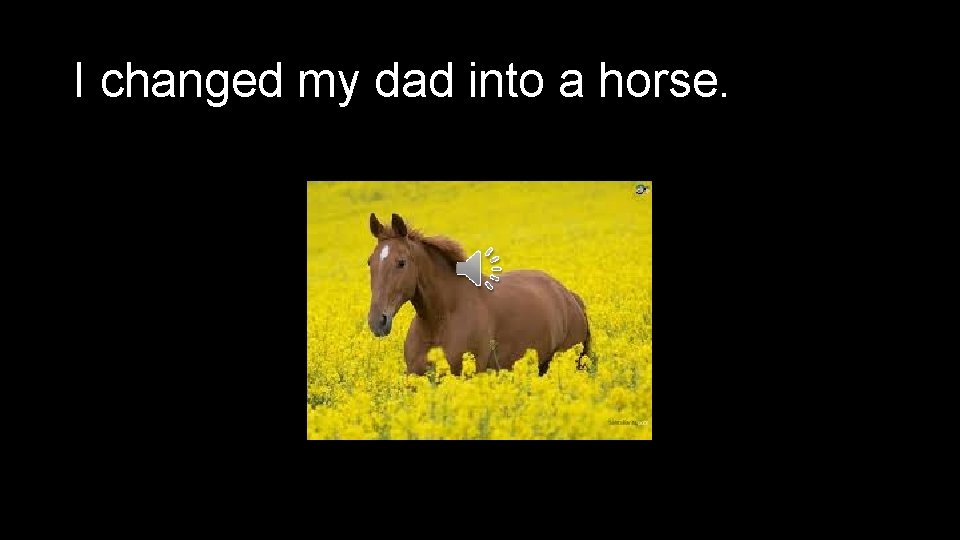 I changed my dad into a horse. 