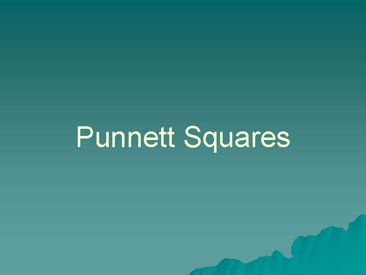 Punnett Squares 