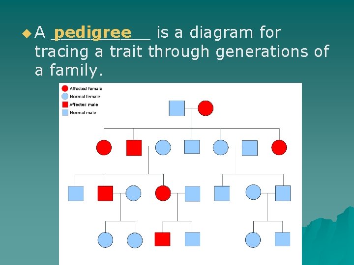pedigree _____ is a diagram for tracing a trait through generations of a family.