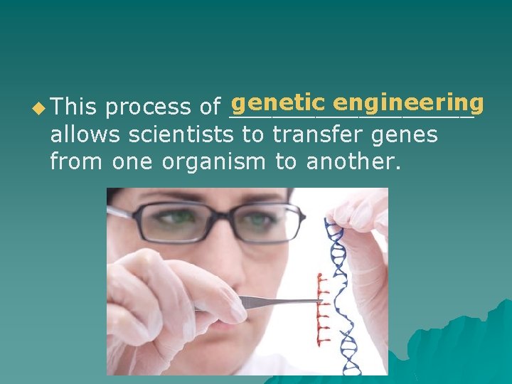 genetic engineering process of _________ allows scientists to transfer genes from one organism to