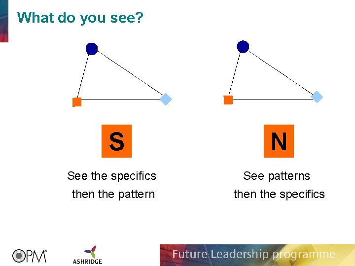 What do you see? S N See the specifics See patterns then the pattern What do you see? S N See the specifics See patterns then the pattern