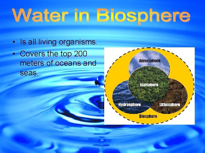  • Is all living organisms. • Covers the top 200 meters of oceans