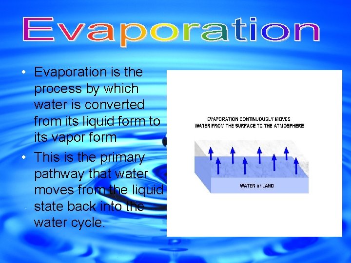 • Evaporation is the process by which water is converted from its liquid