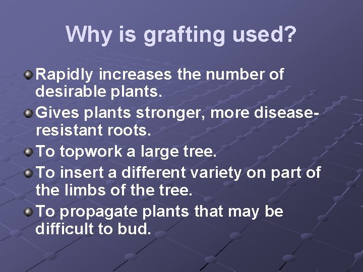 Why is grafting used? Rapidly increases the number of desirable plants. Gives plants stronger,