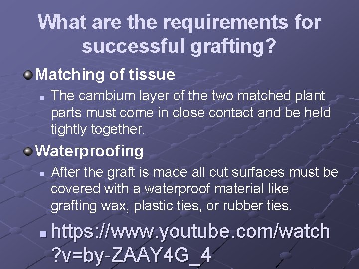 What are the requirements for successful grafting? Matching of tissue n The cambium layer