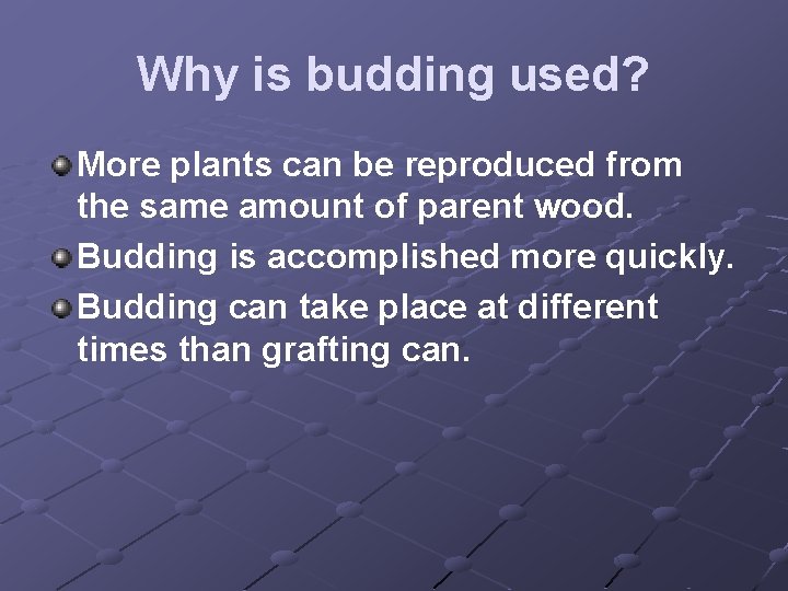 Why is budding used? More plants can be reproduced from the same amount of