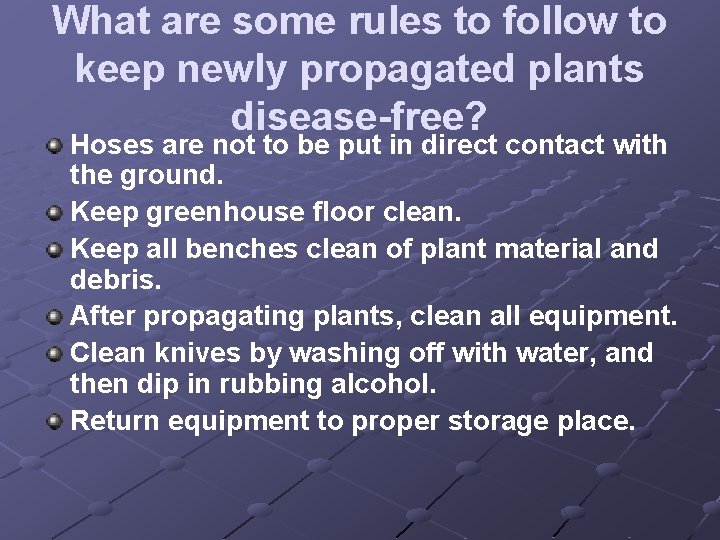 What are some rules to follow to keep newly propagated plants disease-free? Hoses are