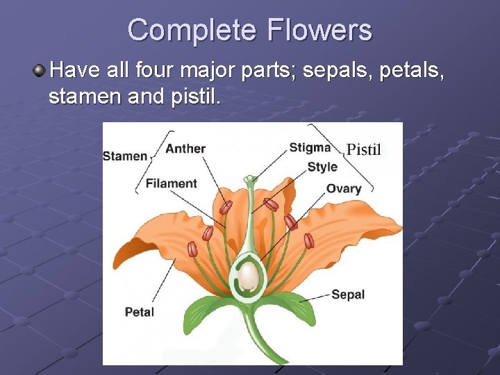 Complete Flowers Have all four major parts; sepals, petals, stamen and pistil. 