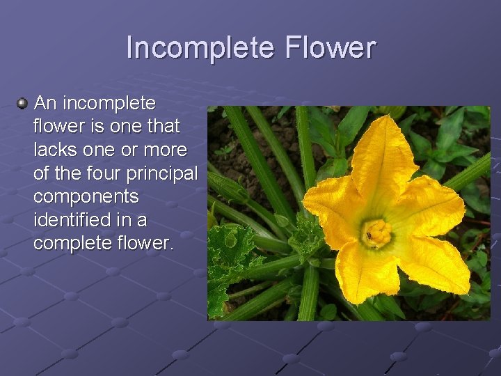 Incomplete Flower An incomplete flower is one that lacks one or more of the