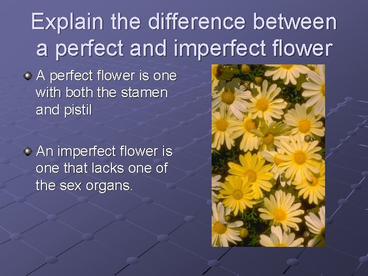 Explain the difference between a perfect and imperfect flower A perfect flower is one