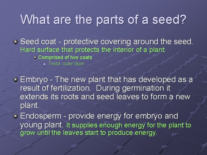 What are the parts of a seed? Seed coat - protective covering around the