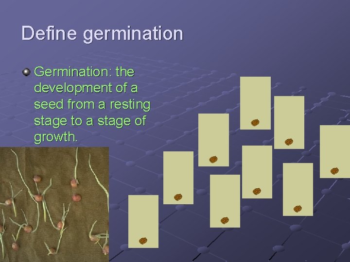 Define germination Germination: the development of a seed from a resting stage to a